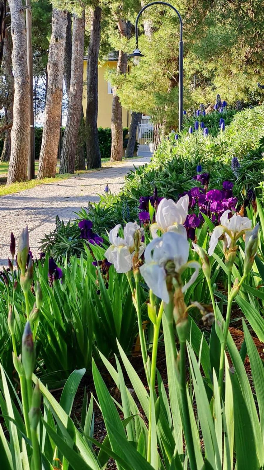 Tra Gli Alberi E Il Mare Sirolo Exterior foto