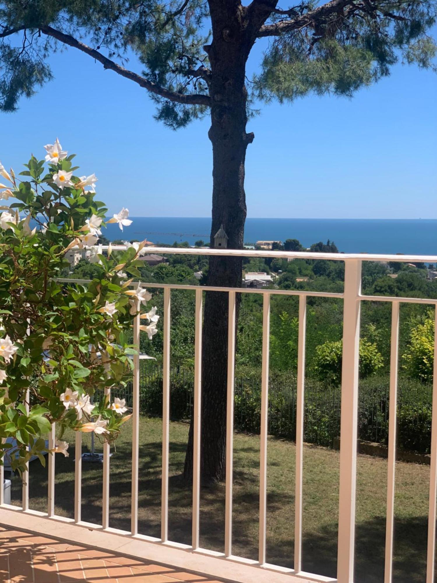 Tra Gli Alberi E Il Mare Sirolo Exterior foto