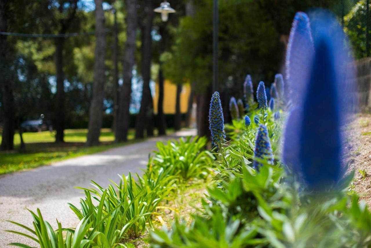 Tra Gli Alberi E Il Mare Sirolo Exterior foto